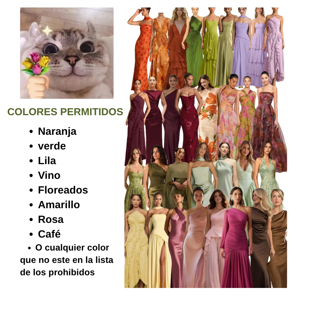 Colores permitidos